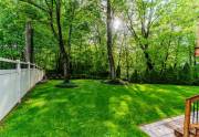 back-yard