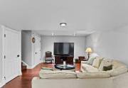 basement-living-
