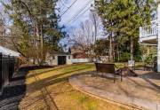 back-yard